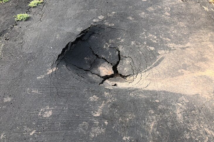 Burato na estrada. WIKIMEDIA COMMONS.